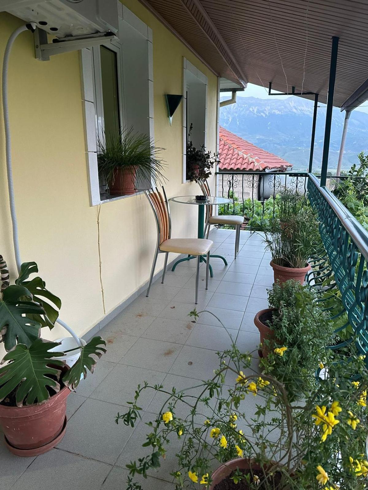 Geri Guesthouse Gjirokastra Zewnętrze zdjęcie